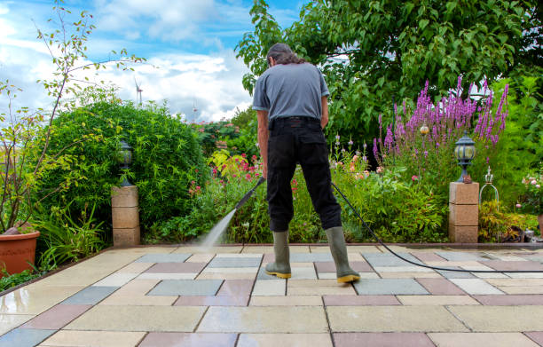 Best Winterizing Services  in Roxborough Park, CO