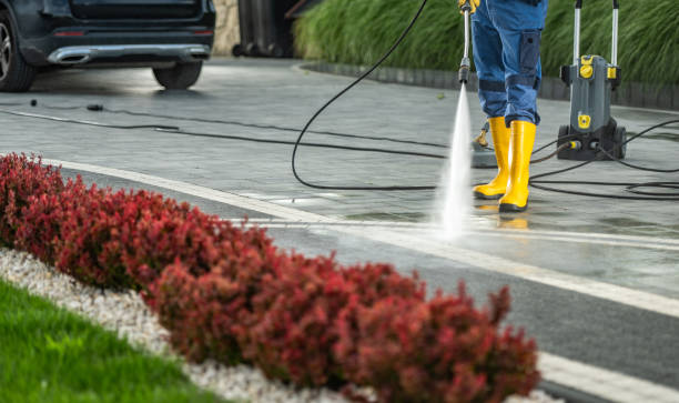 Best Dumpster Area Cleaning  in Roxborough Park, CO